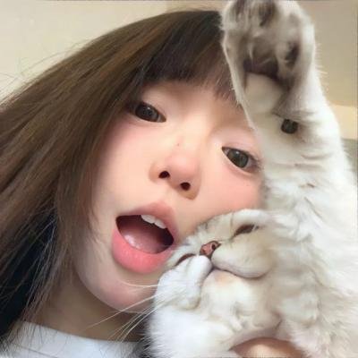 动物狂想曲第一季